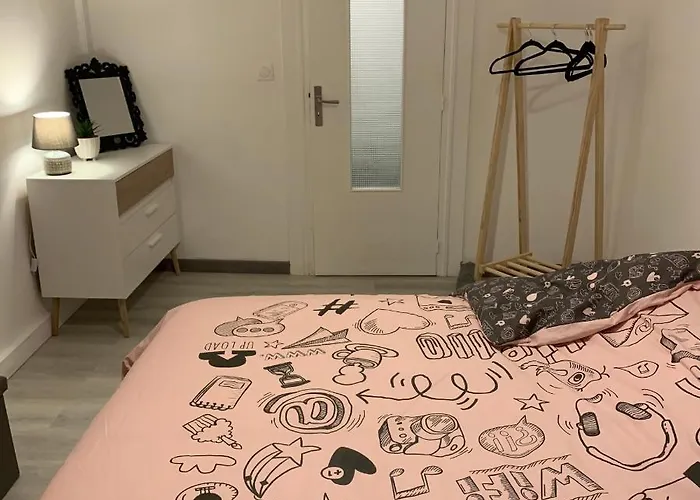 公寓 4 Personnes Emplacement Ideal Proche Des 24h Et Gare 勒芒