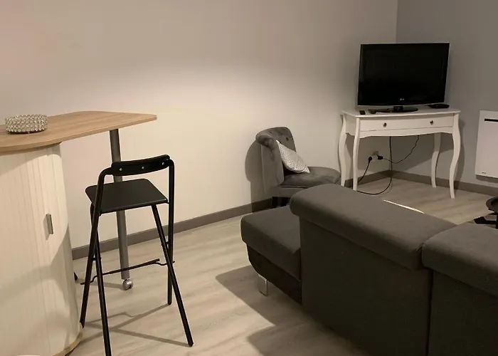 公寓 4 Personnes Emplacement Ideal Proche Des 24h Et Gare