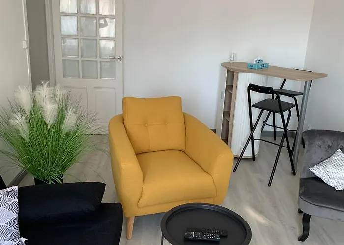 公寓 4 Personnes Emplacement Ideal Proche Des 24h Et Gare 勒芒