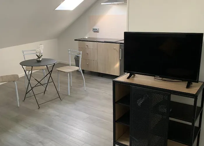 公寓 4 Personnes Emplacement Ideal Proche Des 24h Et Gare 勒芒